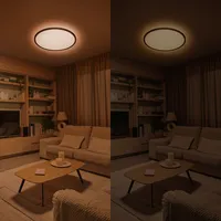 PLAFOON VALEN CL650 32W 22-27-40-6500K MUST