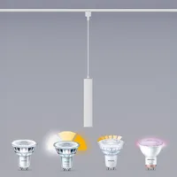 SIINIVALGUSTI EASYLINK PAXIE PD 1X5W VALGE