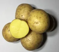 SEEMNEKARTUL GALA A Ø35-55MM, 5KG