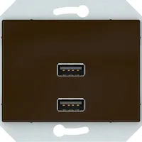 USB PESA VILMA XP500 RAAMITA 2XUSB 3,4 А PRUUN