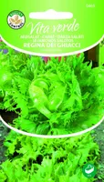 JÄÄSALAT REGINA DEI GHIACCI