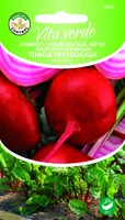 PUNAPEET TONDA DI CHIOGGIA
