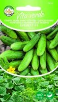 KURK EVEREST H