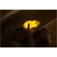 LED ÖÖLAMP ECOLIGHT MARY'S KROKODILL HELIGA