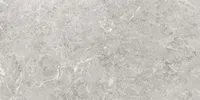 PÕRANDA-JA SEINAPLAAT CERSANIT DELIA GREY MATT 59,8X119,8CM 1,43M² PAKIS