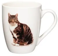 KRUUS 4LIVING 340ML MAINE COON