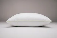 PADI PARAGON SLEEP ALOE VERA 50X70CM