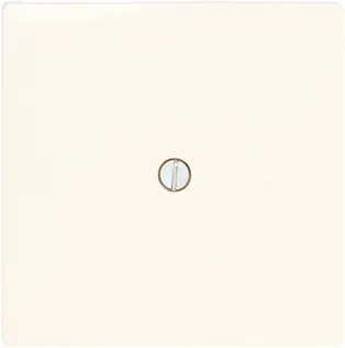 KATTEPLAAT PIME DELTA VALGE SIEMENS