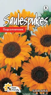 LILLESEEME PÄEVALILL 'SORAYA'150CM