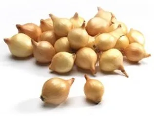 TIPPSIBUL STUTTGARTER 1KG