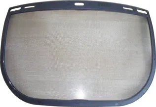 EURO PROTECTION VÕRGUST NÄOKAITSE VISIIR