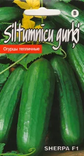 SEEMNED KURK "SERPA F1"