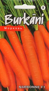 SEEMNED KURZEMES SEKLAS PORGAND "NARBONNE" F1