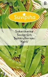KÖÖGIVILJASEEMNED SUVIPIHA SUHKRUHERNES NORLI 