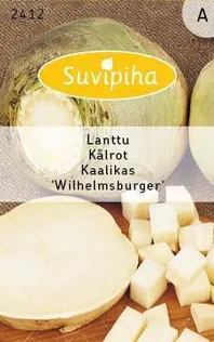 KÖÖGIVILJASEEMNED SUVIPIHA KAALIKAS WILHELMSBURGER 