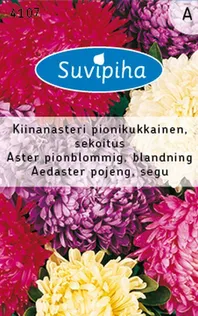 LILLESEEMNED SUVIPIHA AEDASTER POJENG SEGU 