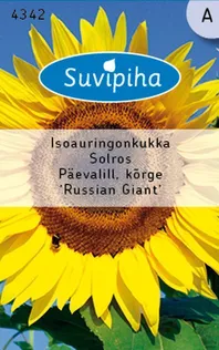 LILLESEEMNED SUVIPIHA PÄEVALILL KÕRGE