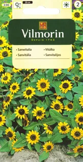 LILLESEEMNED SANVITAALIA VILMORIN CLASSIC