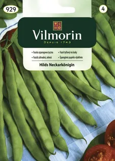 KÖÖGIVILJASEEMNED AEDUBA HILS NECKARKÖNIGIN