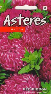 SEEMNED KURZEMES SEKLAS ASTER "RED RIBBON"