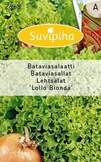 KÖÖGIVILJASEEMNED SUVIPIHA LEHTSALAT LOLLO BIONDA 