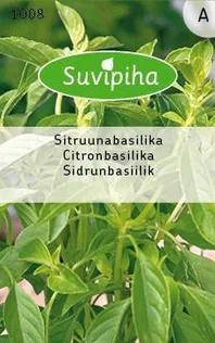 KÖÖGIVILJASEEMNED SUVIPIHA SIDRUNBASIILIK 