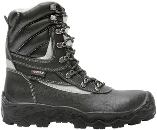 TALVESAAPAD COFRA BARENTS S3 NR.44