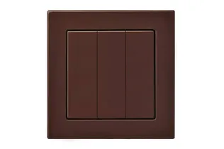 LÜLITI SÜV 3-NE R-TA PRUUN EPSILON