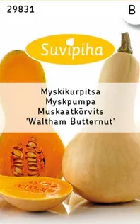 KÖÖGIVILJASEEMNED SUVIPIHA MUSKAATKÕRVITS WALTHAM BUTTERNUT 