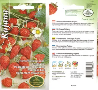 SEEMNED KURZEMES SEKLAS KUUMAASIKAS RUJANA 0,1G