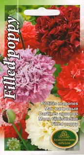 SEEMNED KURZEMES SEKLAS MOON TÄIDISÕIELINE FILLED POPPY 2 G