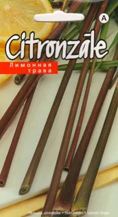 SEEMNED KURZEMES SEKLAS SIDRUNHEIN 0,1 G