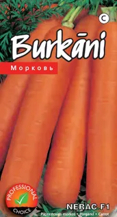 SEEMNED KURZEMES SEKLAS PORGAND NERAC F1 1G