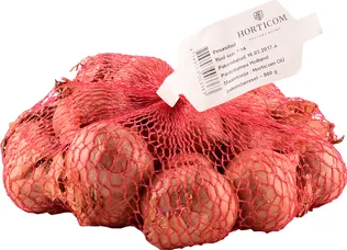 TIPPSIBUL ŠALOTTSIBUL RED SUN 500G