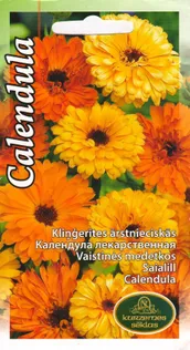 SEEMNED KURZEMES SEKLAS SAIALILL RAVIV 2 G