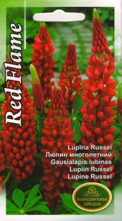 SEEMNED KURZEMES SEKLAS LUPIIN RUSSEL RED FLAME 0,5G