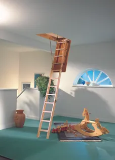 PÖÖNINGULUUK DOLLE EUROISO 120X70