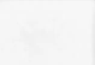 ALUSFLIIS VÄRVITAV SINTRA BASICVLIES 699997 1,06X25M