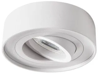 RIPPLAEVALGUSTI KANLUX MINI BORD DLP-50-W 10W VALGE