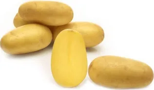 SEEMNEKARTUL BALTIC AGRO SUNSHINE 2,5KG