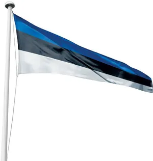 LIPP KARISTE VIMPEL 35X400CM KOONUS