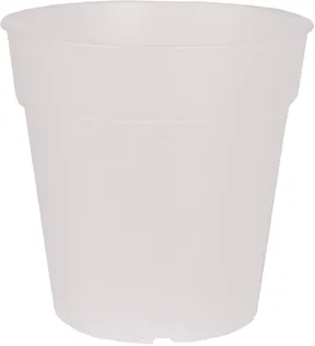 ISTUTUSPOTT ORHIDEELE ARTEVASI MADAGASCAR TO GROW 17CM LÄBIPAISTEV