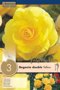 BEGOONIA KAPITEYN TOPELTÕIELINE KOLLANE 3TK PAKIS