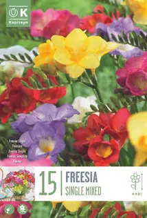 FREESIA SEGU KAPITEYN 15TK PAKIS