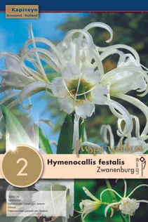 PIDULIK KOIBIKLIILIA KAPITEYN "ZWANENBURG" 2TK PAKIS