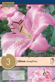 IDALIILIA KAPITEYN "JOSEPHINE" 3TK PAKIS