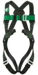 TÄISTURVARAKMED FELIS ISTERIHMADEGA