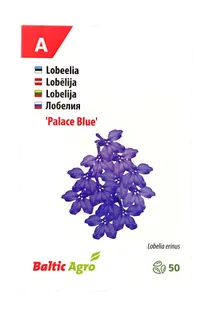 SEEMNED BALTIC AGRO LOBEELIA 'BLUE PALACE' SININE, 50 PILLI