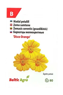 SEEMNED BALTIC AGRO PEIULILL 'DISCO ORANGE' ORANŽID LIHTÕIED, 80S