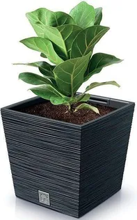 LILLEPOTT PROSPERPLAST FURU RUUT MADAL 29,5X29,5X29CM ANTRATSIIT